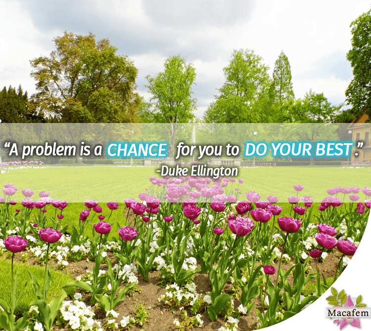 A problem is a chance for you to do your best