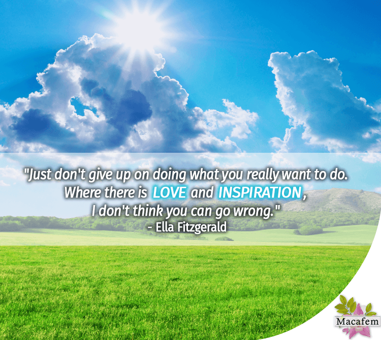don't give up quote Macafem