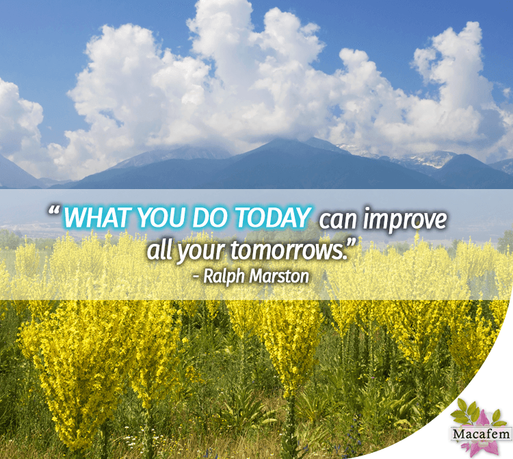 What You Do Today Can Improve All Your Tomorrows Essay