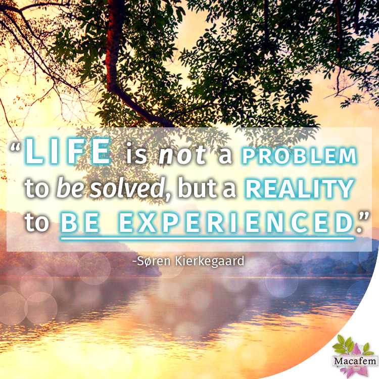 Life is not a problem to be solved
