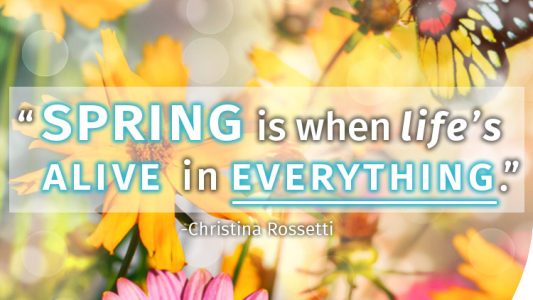 Spring is when life's alive in everything