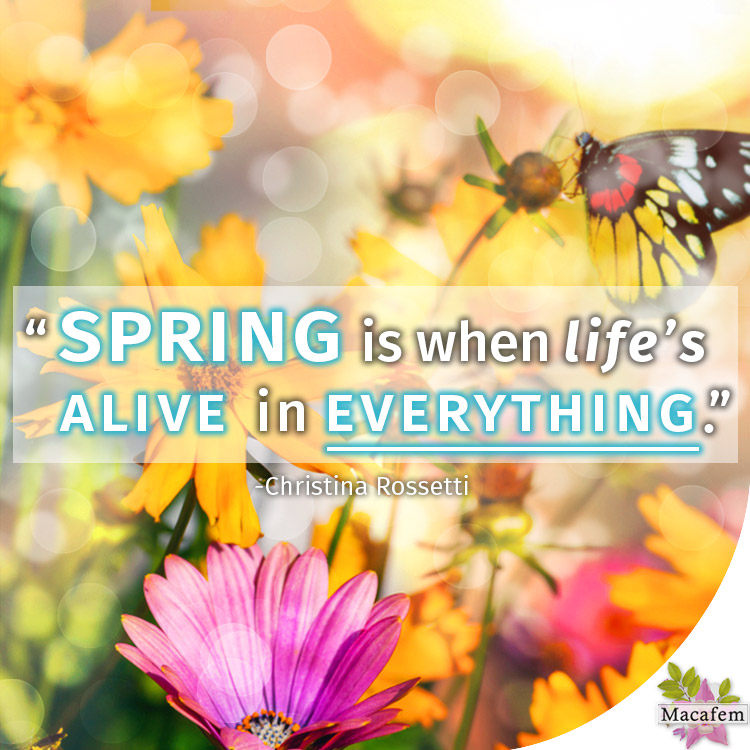 Spring is when life's alive in everything