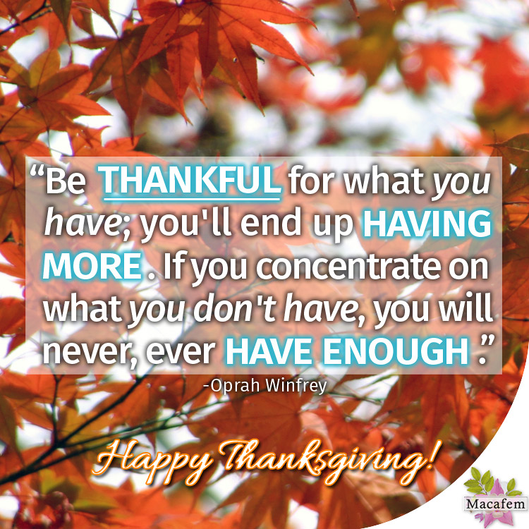 Happy Thanksgiving to you and your loved ones!