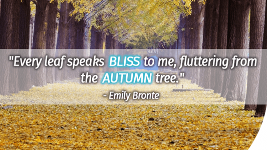 Every leaf speaks bliss to me