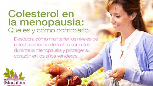 Colesterol en la menopausia: qué es y cómo controlarlo