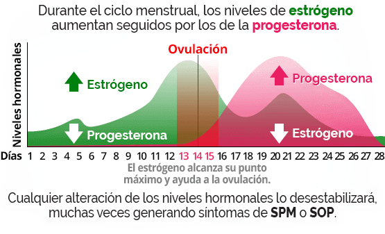 cómo funciona Macafem salud menstrual