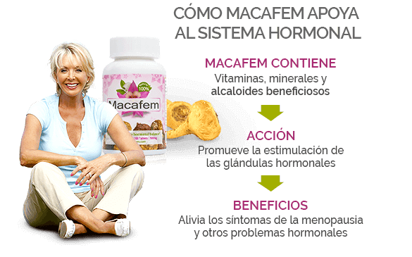 Cómo Macafem fortalece el sistema endocrino