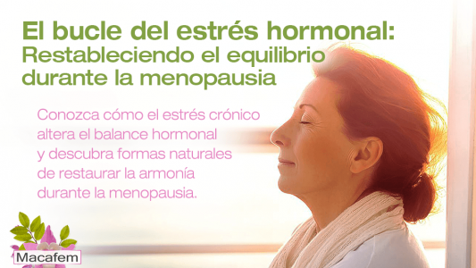 El bucle del estrés hormonal: Restableciendo el equilibrio durante la menopausia