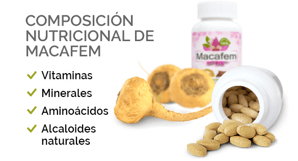Composición Nutricional de Macafem