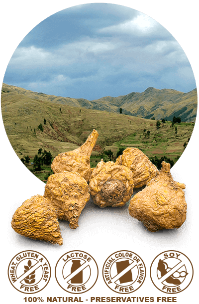 macafem ingredients and cultivation