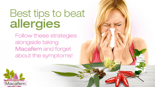 tips for defeating allergies alongside macafem