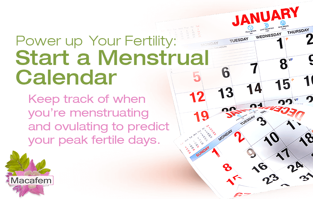 macafem 4 extra moves to power up your fertility