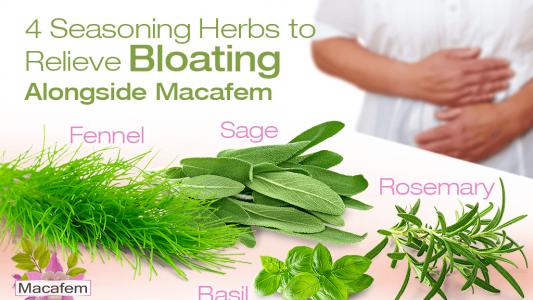 macafem 4 seasoning herbs to relieve bloating