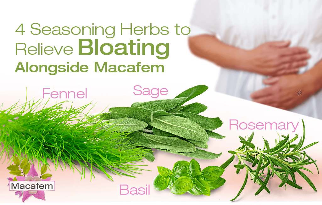 4 Seasoning Herbs to Relieve Bloating Alongside Macafem