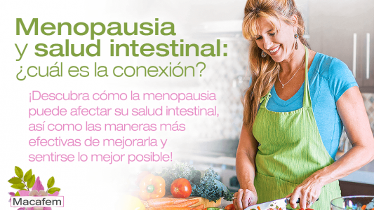 Menopausia y salud intestinal: ¿cuál es la conexión?