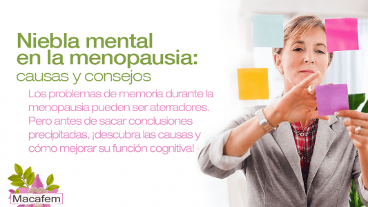 Niebla mental en la menopausia: causas y consejos