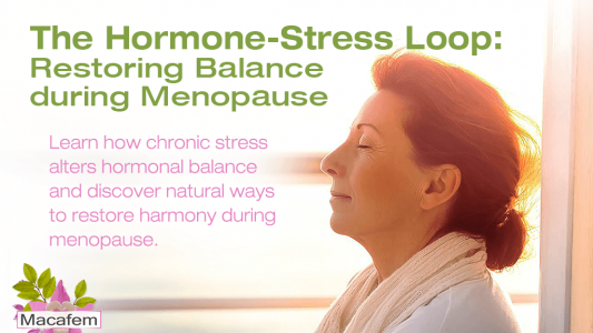 The Hormone-Stress Loop: Restoring Balance During Menopause