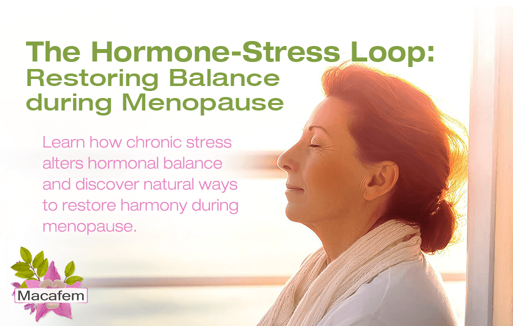 The Hormone-Stress Loop: Restoring Balance During Menopause