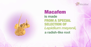 what-is-macafem-2